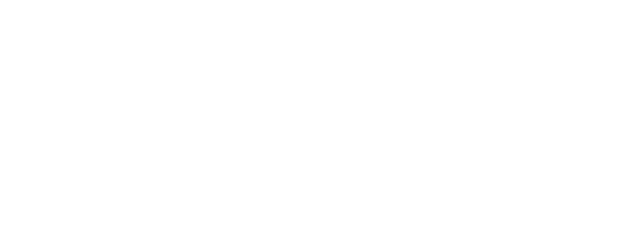 Ditix